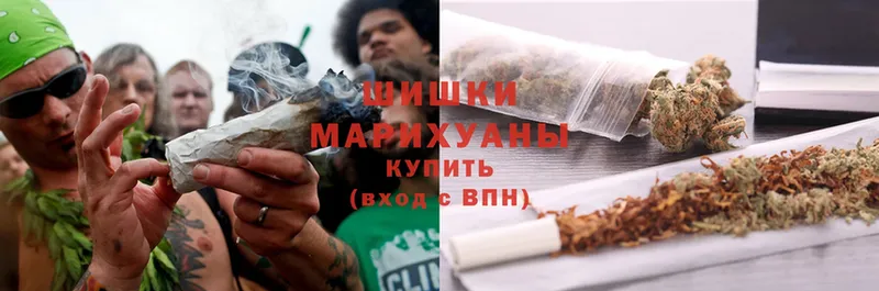 Конопля SATIVA & INDICA  darknet какой сайт  Елизово 